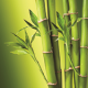 Массивная доска бамбук